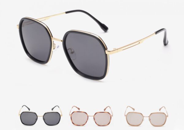 F-041 Polarized Large Frame Sunglasses